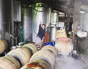 美酒王國進口食品網 一站式進口解決方案