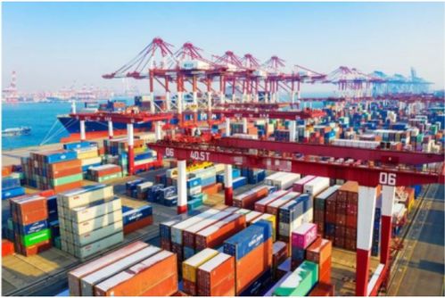 寒潮突襲，大港封航 挑戰中尋創意服務新機遇